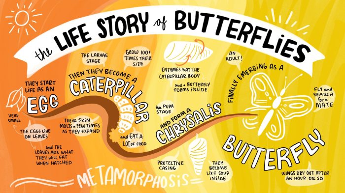Storytelling Storytelling