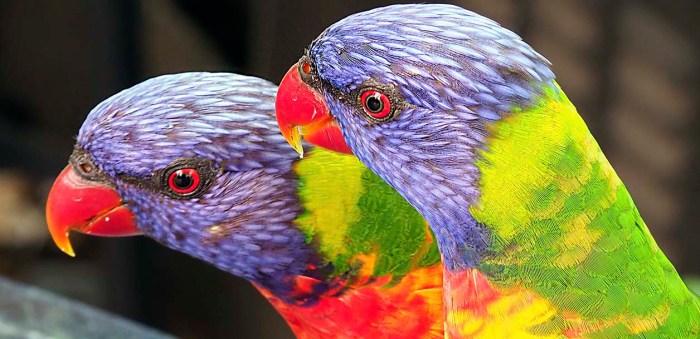 How to Design with Image Cropping: 7 Ideas for Creative Framing