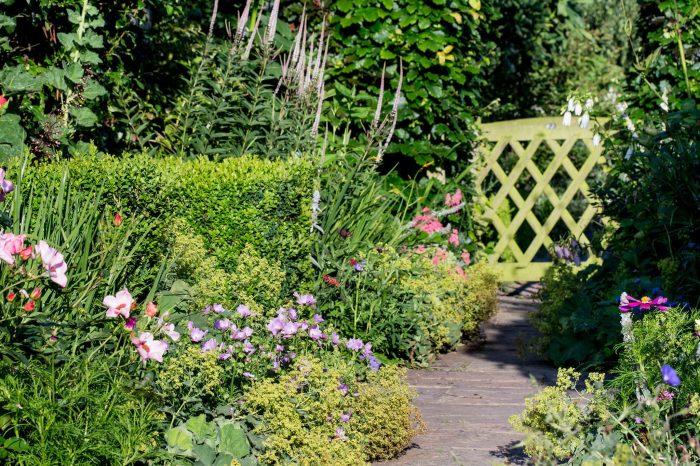 How to Design a Beautiful Garden on a Budget